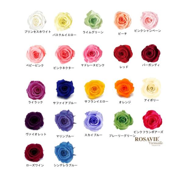 ROSAVIE Vermeille(ロザヴィ ヴェルメイユ）ローズ[アイネス]　サイズ：直径約4〜4.5ｃm　高さ約3.1〜3.5ｃｍ <br>ロザヴィ ヴェルメイユは、バラの楽園コロンビアの大地で大切に育てられています。※ご購...