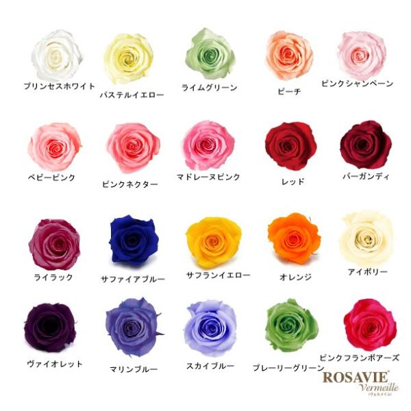 新発売！！ROSAVIE Vermeille(ロザヴィ ヴェルメイユ）ローズ[アヴァ]　サイズ：直径約2.3〜2.5ｃｍ　高さ約2.3〜2.5ｃｍ ロザヴィ ヴェルメイユは、バラの楽園コロンビアの大地で大切に育てられています。※ご購入時期に...