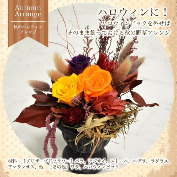 ハロウィン プリザーブドフラワー ギフト アレンジ Autumn 送料無料 ハロウィン 秋 野草 誕生日 ブリザーブド 還暦 お祝い 結婚祝 ギフト 引越祝い 和風 プリザ Buyee Buyee Japanese Proxy Service Buy From Japan Bot Online