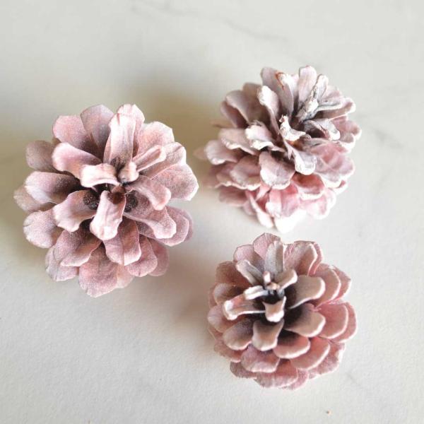 松ぼっくり ミルキーピンク 3個入り ドライ 実物 木の実 松かさ Buyee Buyee Japanese Proxy Service Buy From Japan Bot Online