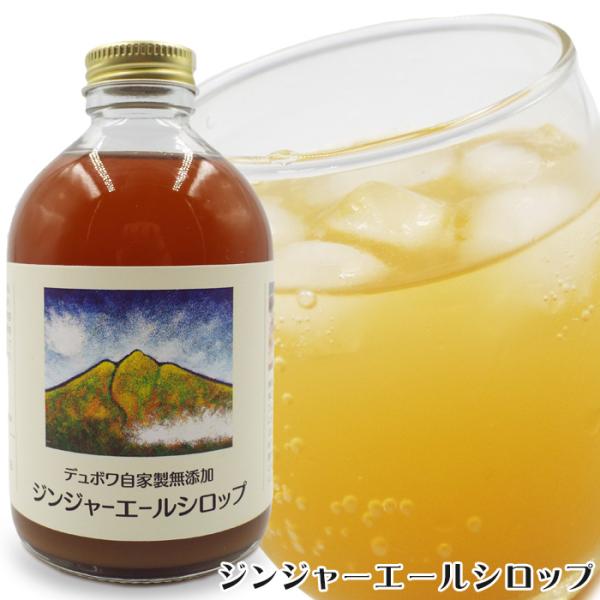 無添加 ジンジャーエールシロップ 250ml 2本セット 体に優しく美味しい ジンジャーエールの素 手作り 自家製 お酒の割もの 青森県 白糖不使用 御礼 祝 送料無料
