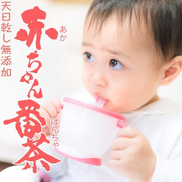 カフェインレスの優しいお茶 赤ちゃん番茶 ティーパック 2個セット(5gｘ50ｘ2) 無農薬 無添加 子供や妊娠 授乳中の女性も安心して飲める 緑茶 水出し 送料無料