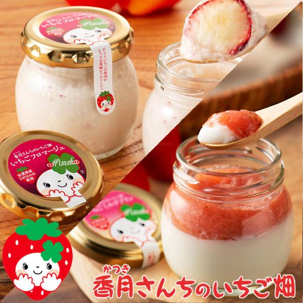 佐賀県産さがほのか いちごミルクプリン いちごフロマージュ 各6個入ギフトBOX 美味しい 苺 レアチーズケーキ スイーツ お取り寄せ グルメ 敬老の日 礼 送料無料
