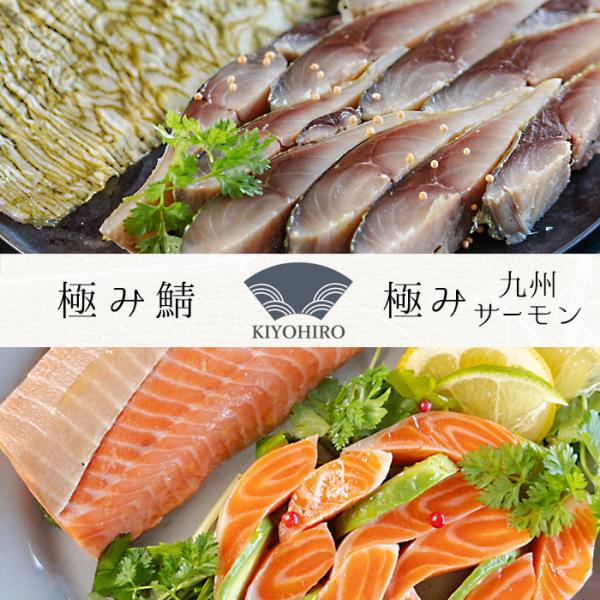 博多で40年以上愛される清広の極み鯖 極み九州サーモン ２種セット 化粧箱入 極上の味わい 美味しい 済州島サバ 国産鮭 お取り寄せ グルメ ギフト お礼 送料無料