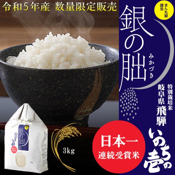 もち米 喜寿 3kg 令和5年産 無農薬 わけあり - 米