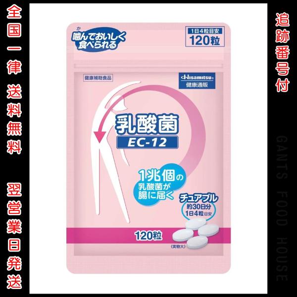 久光製薬 EC-12 チュアブル 乳酸菌 120粒 hisamitsu : GANTS FOOD