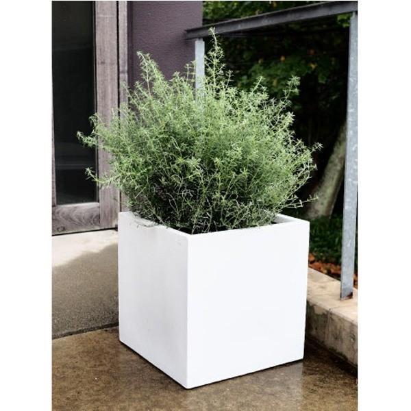 ファイバークレイ製 キューブ 軽量 大型植木鉢 バスク キューブ 40cm 40cm 園芸用品 ホワイト Ds りぼるばー67 店
