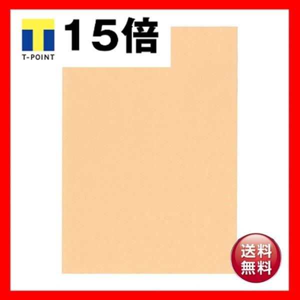 kzR[|[V IB̐F㎿A4T  т 1 500 ×2Zbg