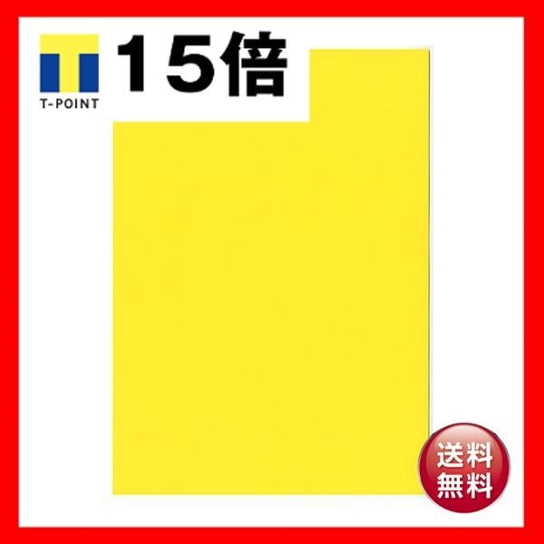 kzR[|[V IB̐F㎿A4T   1 500 ×2Zbg