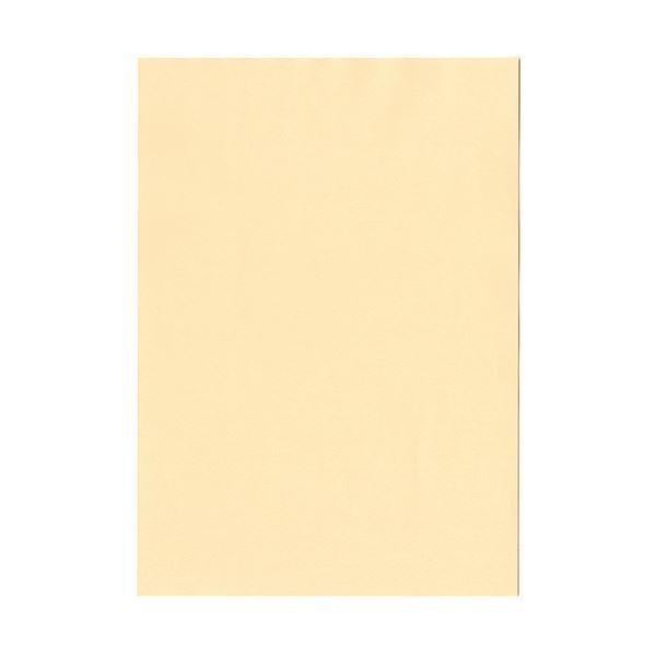 kzR[|[V IB̐F㎿A3Y   1 500)