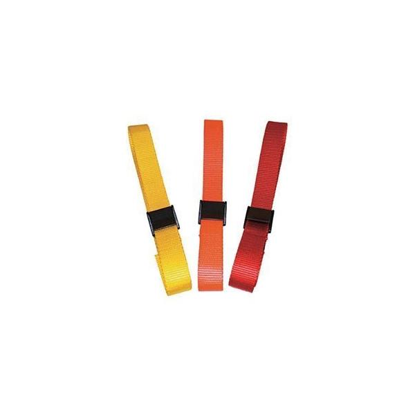 (܂Ƃ) CETACEA 6tB[gJobNXgbv IW CBS06ORNG 1 k×3Zbgl