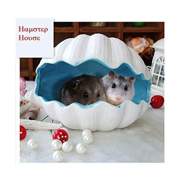 ハムスター ハウス 用 涼感 ひんやり おへや ベッド 貝殻 Texascashandpawn Com