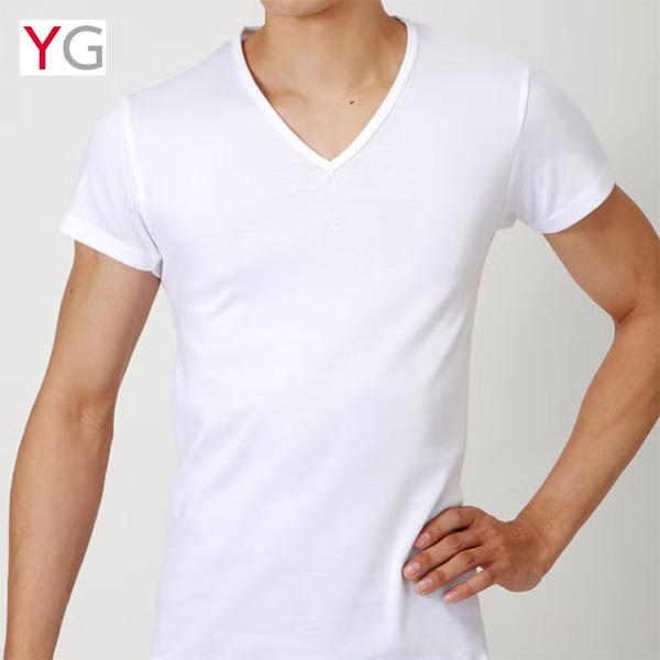 GUNZE グンゼ YG ワイジー Vネック 半袖Tシャツ 綿100％ 無地 コットン 抗菌防臭 ビジネス アンダーウェア 下着 インナー パンツ 肌着 メンズ YVP015A