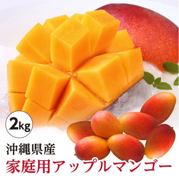 97%OFF!】 沖縄産 マンゴー4玉 1.5kg ×3箱 12玉 アーウィン nmef.com