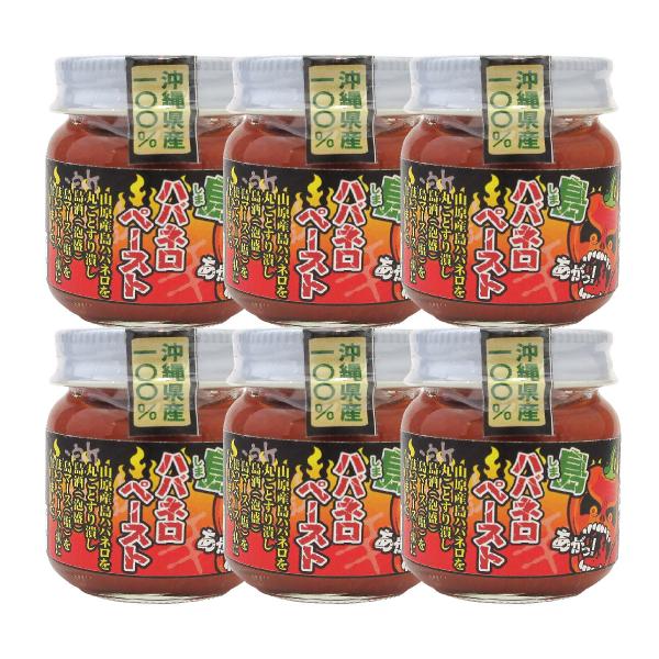 島ハバネロペースト 40g×6個セット 送料無料 沖縄 沖縄県産100% 激辛 ハバネロ ペースト 練り唐辛子 渡具知