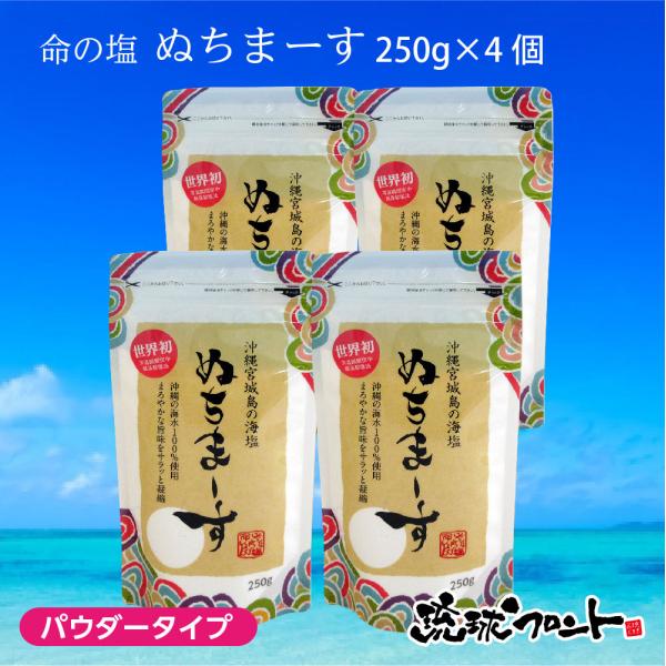 沖縄海塩 ぬちまーす パウダータイプ 250g×4個セット メール便 送料無料 沖縄 命の塩 海塩 ミネラル 海水 ぬちまーす