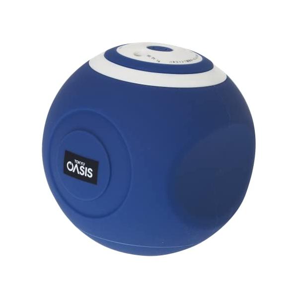 東急スポーツオアシス スタイリーボール 振動レベル５段階 SLB-100