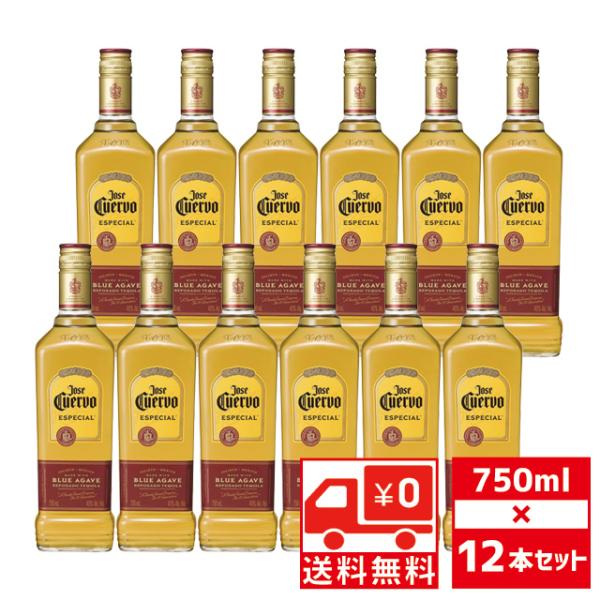 Jose Cuervo（ホセ クエルボ） 送無 セット12 エスペシャルゴールド 40