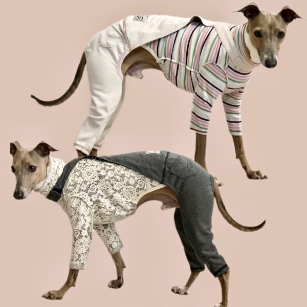 イタグレ　ウィペット　サロペットパンツ イタグレ ウィペット サロペットパンツ イタグレ ウィペット