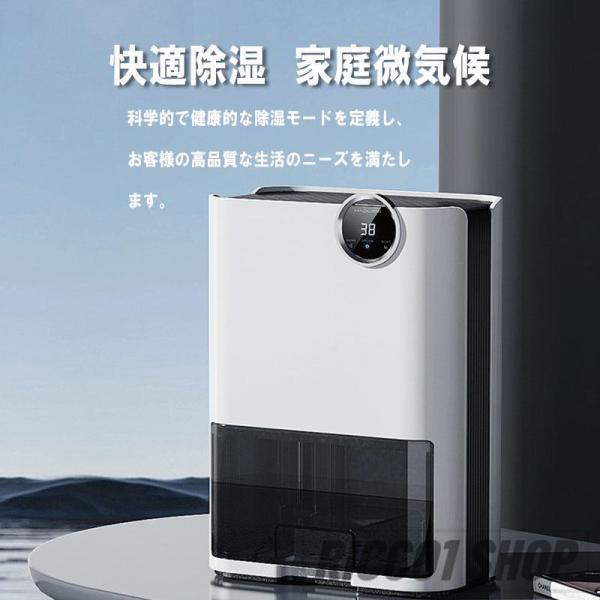 ricco1_904-my-94_4_d_20240906174828