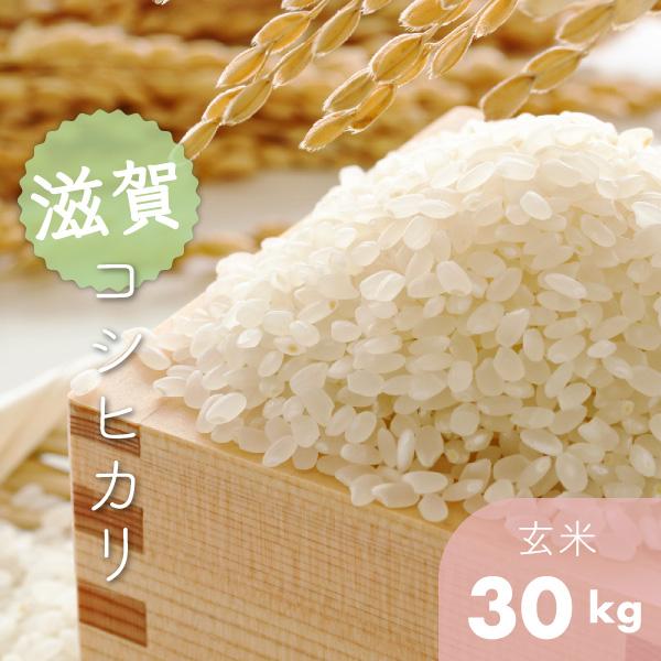 令和七年度の 滋賀産新米コシヒカリ30キロ コシヒカリ 米 30kg 令和7年 送料無料 滋賀県東近江市 特別栽培米 1等