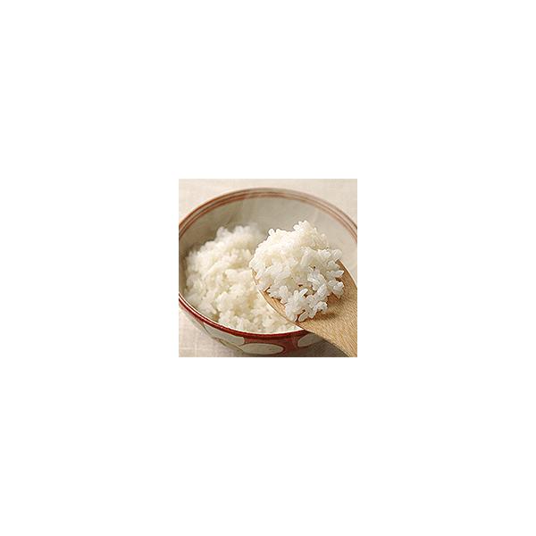 はえぬき 20kg (5kg×4) 山形県庄内産 白米 箱入 令和7年産 お米 コメ