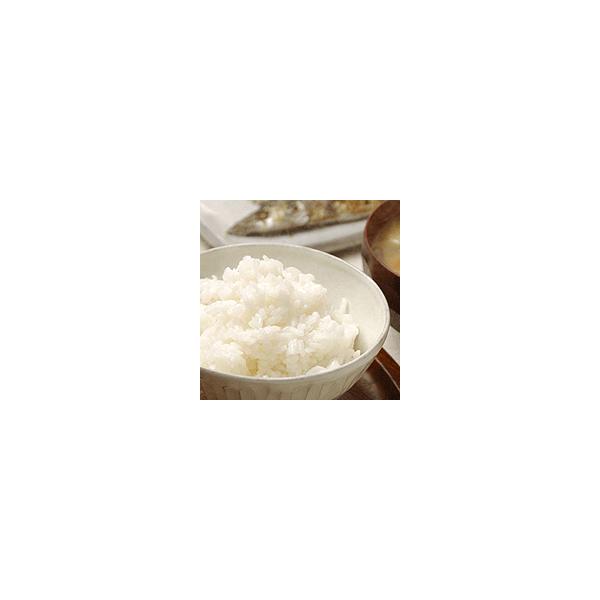 P  24kg 1  R`Y ʍ͔|  ߘa7NYV \񏤕î10{ȍ~ɔ̗\