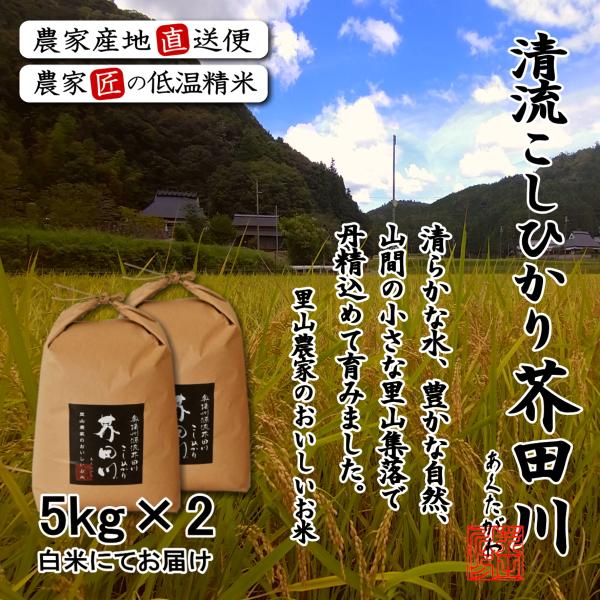 rice-jp2_8210-02f000