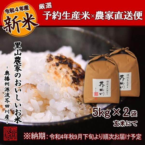 今ならほぼ即納！ 令和4年産 キヌヒカリ 新米 白米 5キロ 淡路島産 5kg