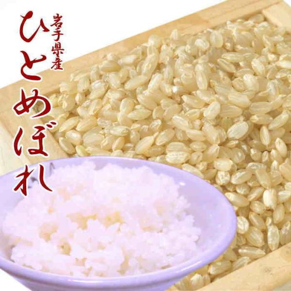 新米】令和7年 お米 送料無料 ひとめぼれ 玄米 20kg 岩手県産 あす