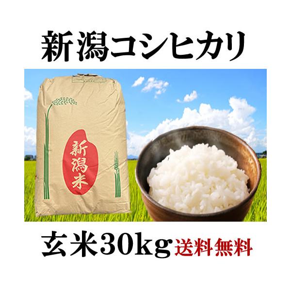 コシヒカリ 令和6年産 新潟県上越産 コシヒカリ玄米 30kg 検査1 コシヒカリ 令和6年産 新潟県上越産 コシヒカリ玄米 30kg 検査1