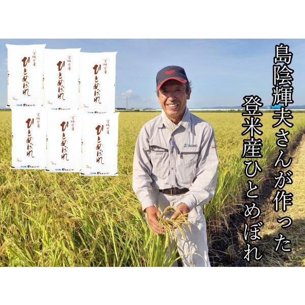 ■お米の保管について 1か月程度で食べきれる量を目安でお買い求めください。＊過度なまとめ買いはおすすめしません。夏場は気温・湿度が高く保管状態によっては虫がつく場合もございます。市販の虫除け等をご活用いただき、なるべく陽のあたらない涼しい場...