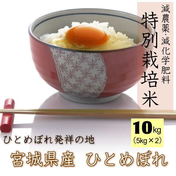 お米 10kg 取り出せる 令和6年 宮城県登米市産ひとめぼれ 精白米 お米 10kg 取り出せる 令和6年 宮城県登米市産ひとめぼれ 精白米