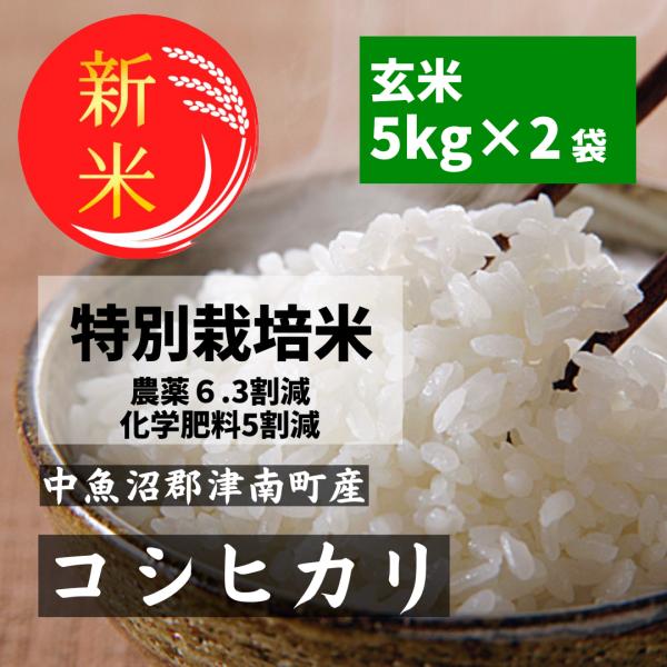 令和6年産】新潟県産 コシヒカリ 玄米10㎏ 数量限定販売 減農薬減肥料米