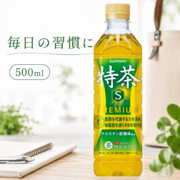 伊右衛門 特茶 s 500ml ペットボトル トクホ 緑茶 サントリー お茶 飲料 単品 1本 PET 買い回り向け商品 単体