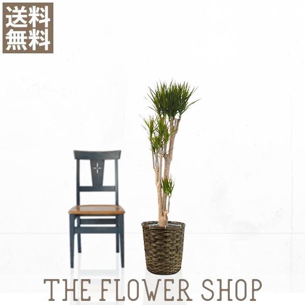 ϗtA  RVl F80-100cm كJS