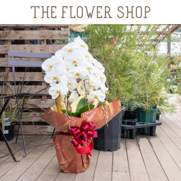 ■母の日（5月11日-14日）の期間中はお届け日の指定はできません。■ご注文から３営業日以内に発送致します。■お花の種類、色の濃淡はその時期の最良のお花を使用致しますので、写真のお花の内容はイメージとお考えください。■ラッピングや器などは予...