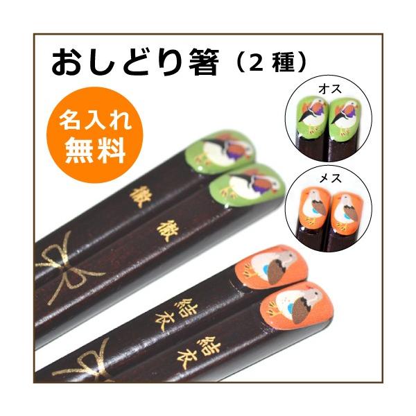 O蔢 ǂǂ蔢@IX23cm X21cm@OIׂ2 PV炲w܂ Pi 1V @2024@eւ̃v[g@vw