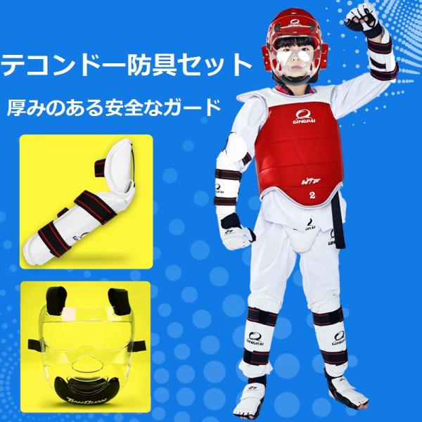 テコンドー プログレード 競技用保護具 7点セット キッズ/大人
