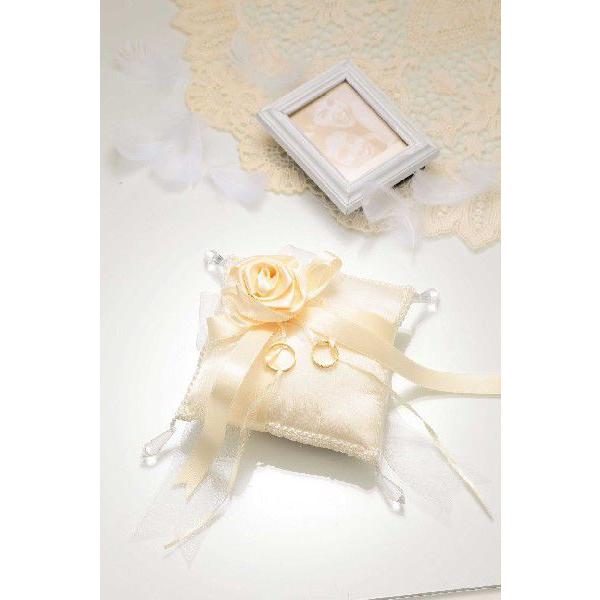 pi~@õXEB[gOs[iRP-19j