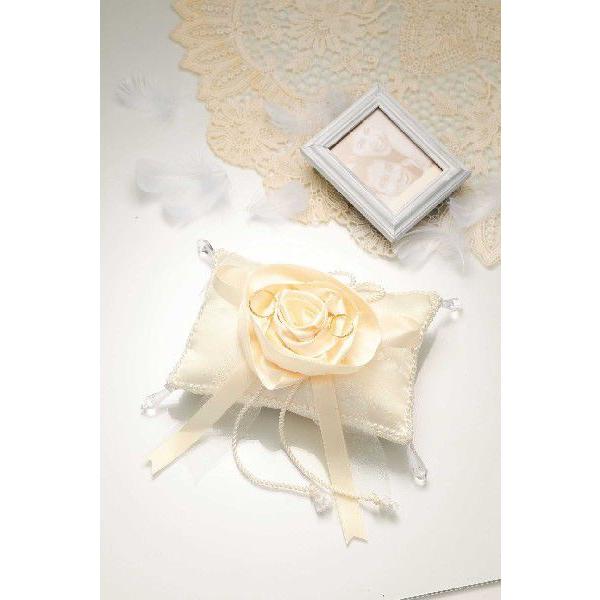 pi~@õXEB[gOs[iRP-20j