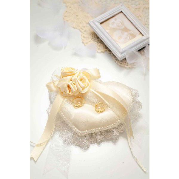 pi~@õXEB[gOs[iRP-21j