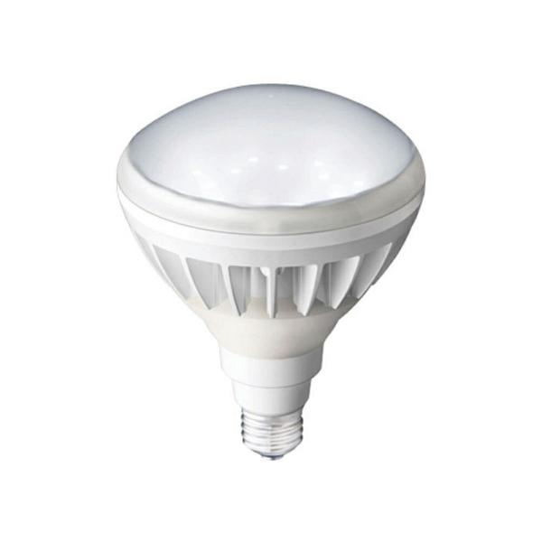 kazari　LEDアイランプ　16W 10個セット　昼白色 送料無料 岩崎電気 レディオック LEDアイランプ 14W E26口金 LDR14N-H