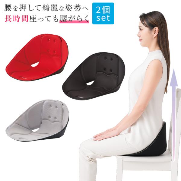 2個セット ニーズ ボードクッション cosios コシオス 男女兼用