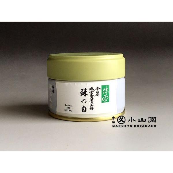  F ۋvR ̔ 20g ʁi܂̂j  Q_֑@D   sY  pE_[