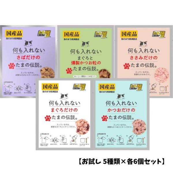 【お試し 5種類×各6個セット】何も入れない たまの伝説 パウチ 35g 大容量 まとめ買い 猫用品 猫の餌  ペット フード 猫 キャット ウェット パウチ 国産