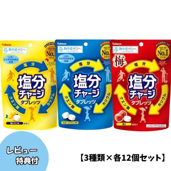 3種類×各12個セット】塩分チャージタブレッツ【スポーツドリンク味×塩