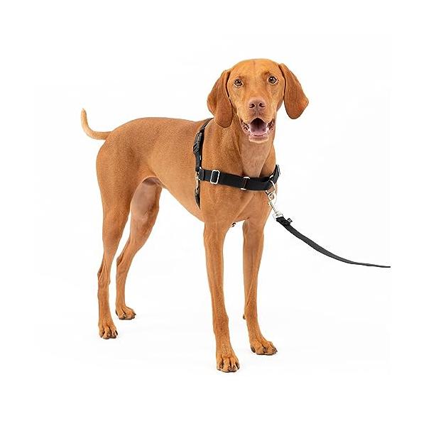 PetSafe イージーウォークハーネス (M ブラック＆シルバー)