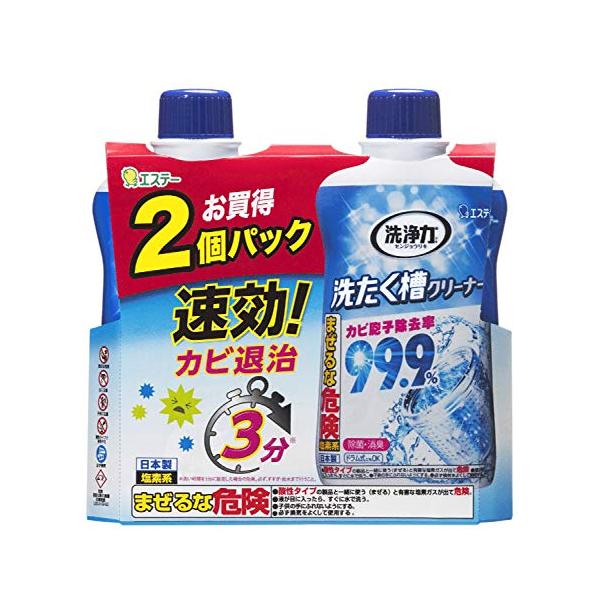 洗浄力 まとめ買い 洗濯槽クリーナー 塩素タイプ 液体タイプ 550g×2個 