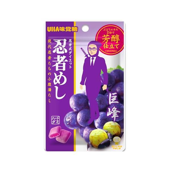 他サイト： 味覚糖 忍者めし巨峰 2PACK 計20個の商品画像